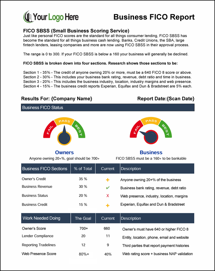 Example Business FICO Report