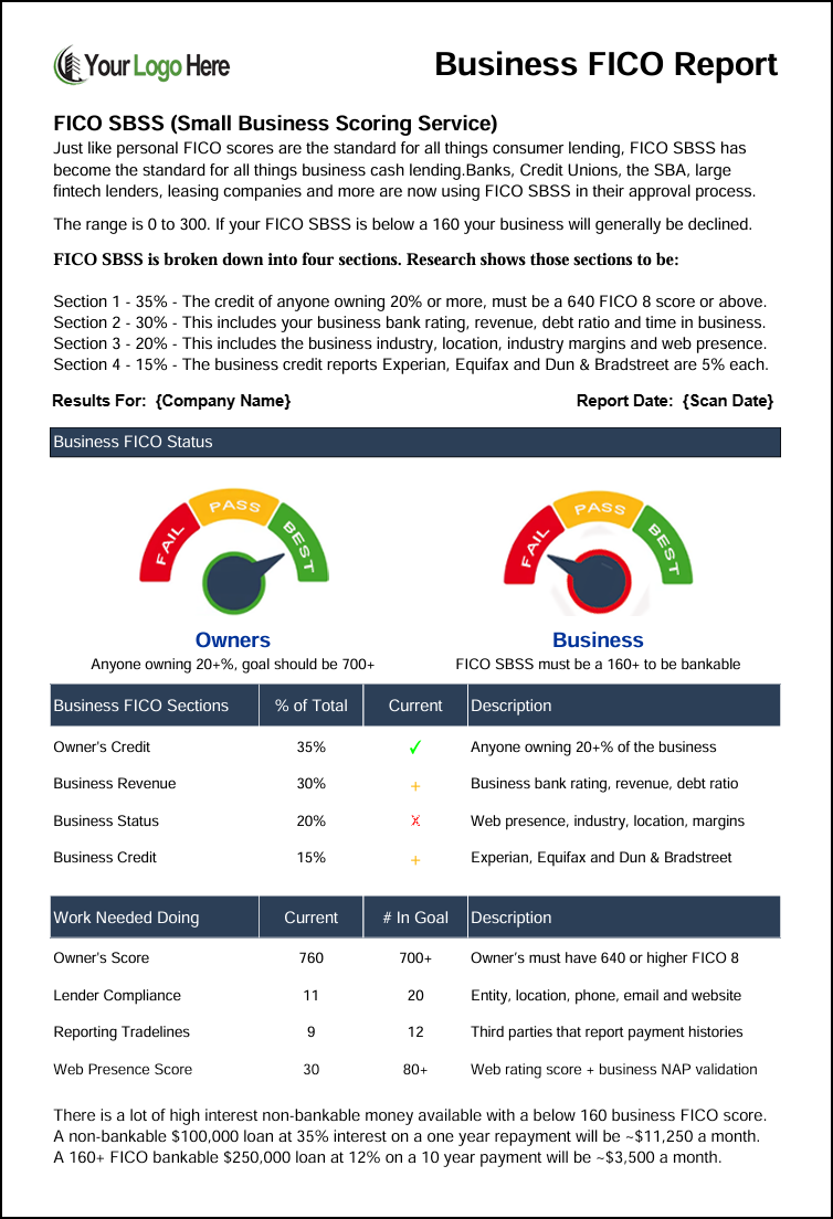 Example Business FICO SBSS Report showing key score factors, generated by OwnersPath
